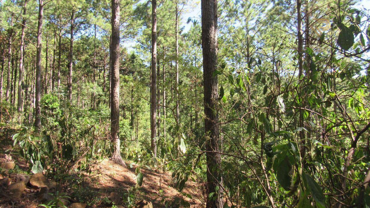 Terreno à venda, 223000M2 - Foto 26