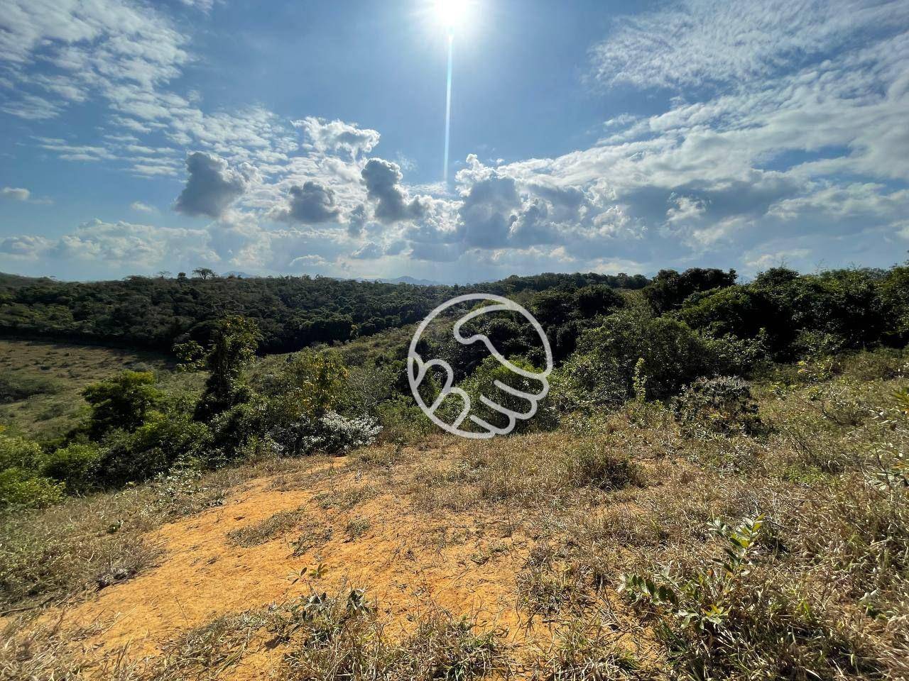 Sítio, 12 hectares - Foto 9