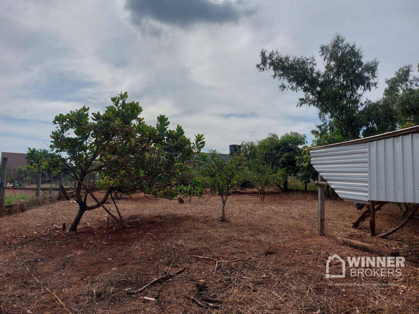 Chácara à venda com 3 quartos, 1500M2 - Foto 43
