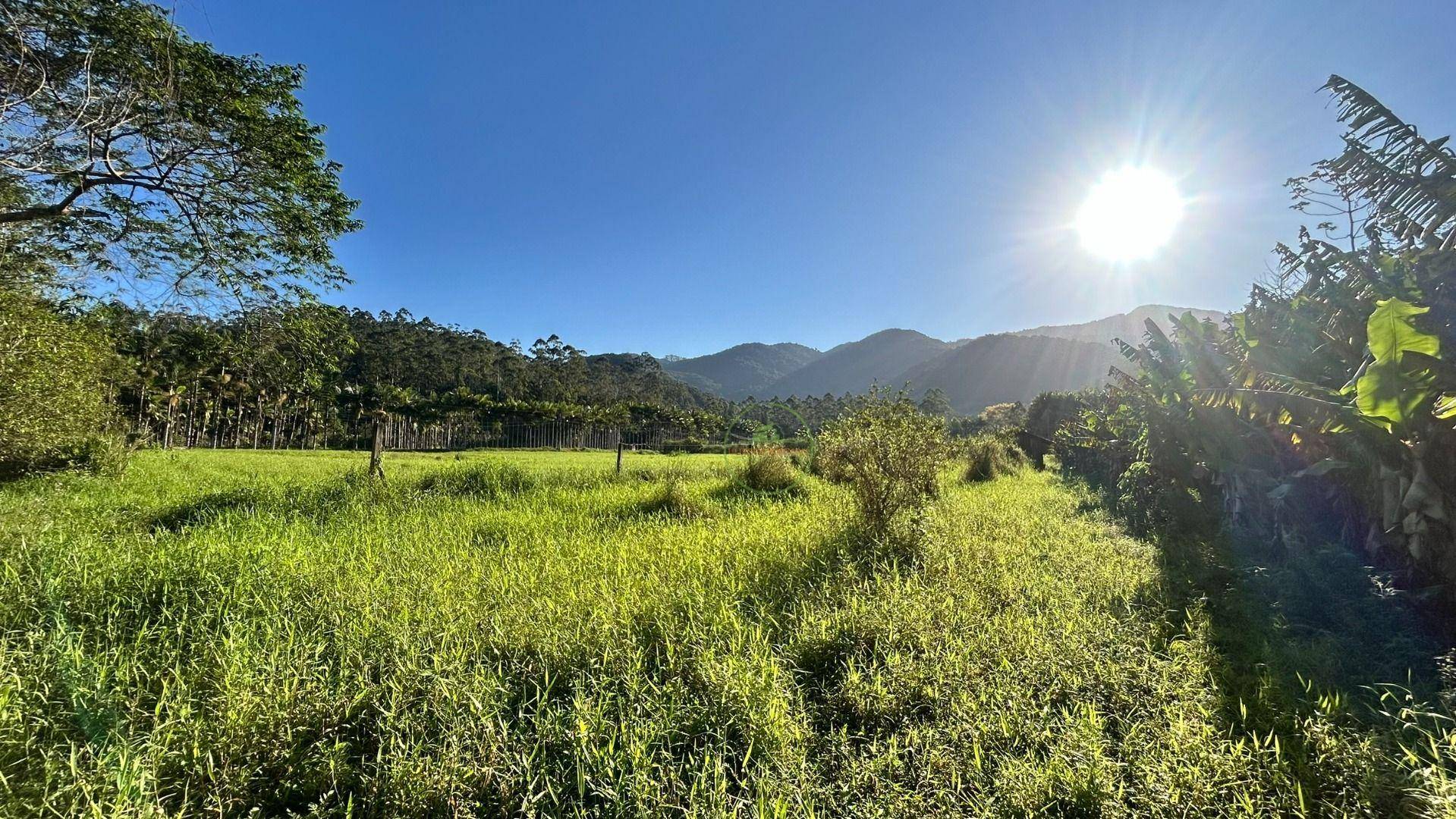 Sítio, 19 hectares - Foto 22