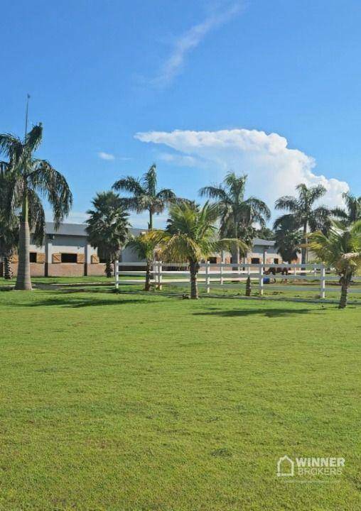 Haras e Área Rural Padrão à venda com 1 quarto, 2140m² - Foto 23