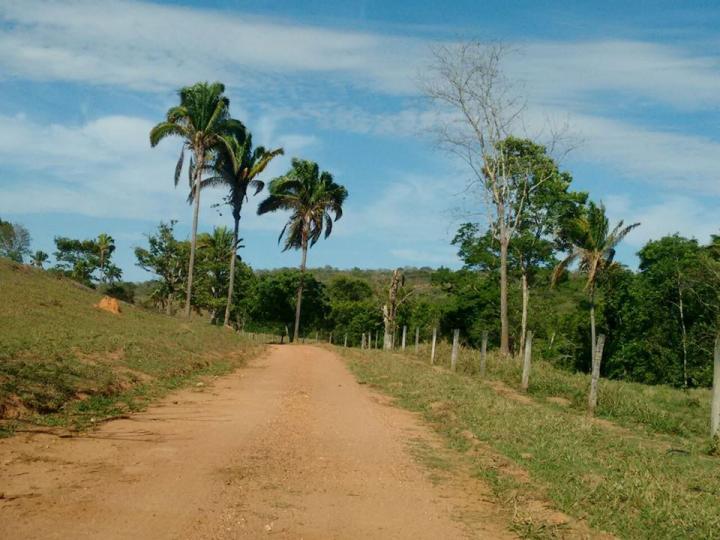 Chácara à venda - Foto 31