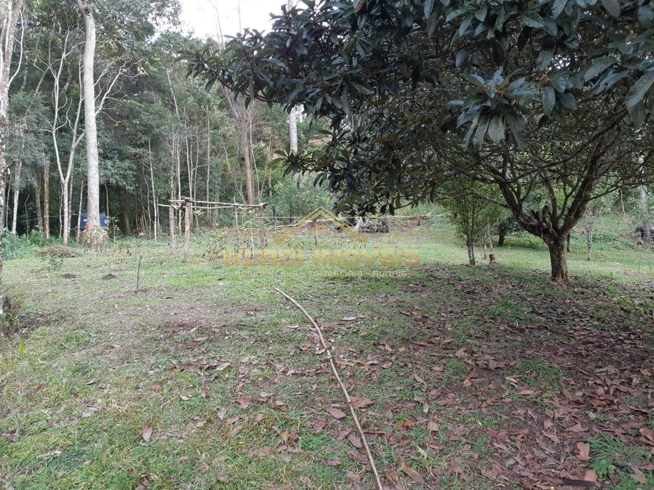 Fazenda à venda, 48400m² - Foto 23