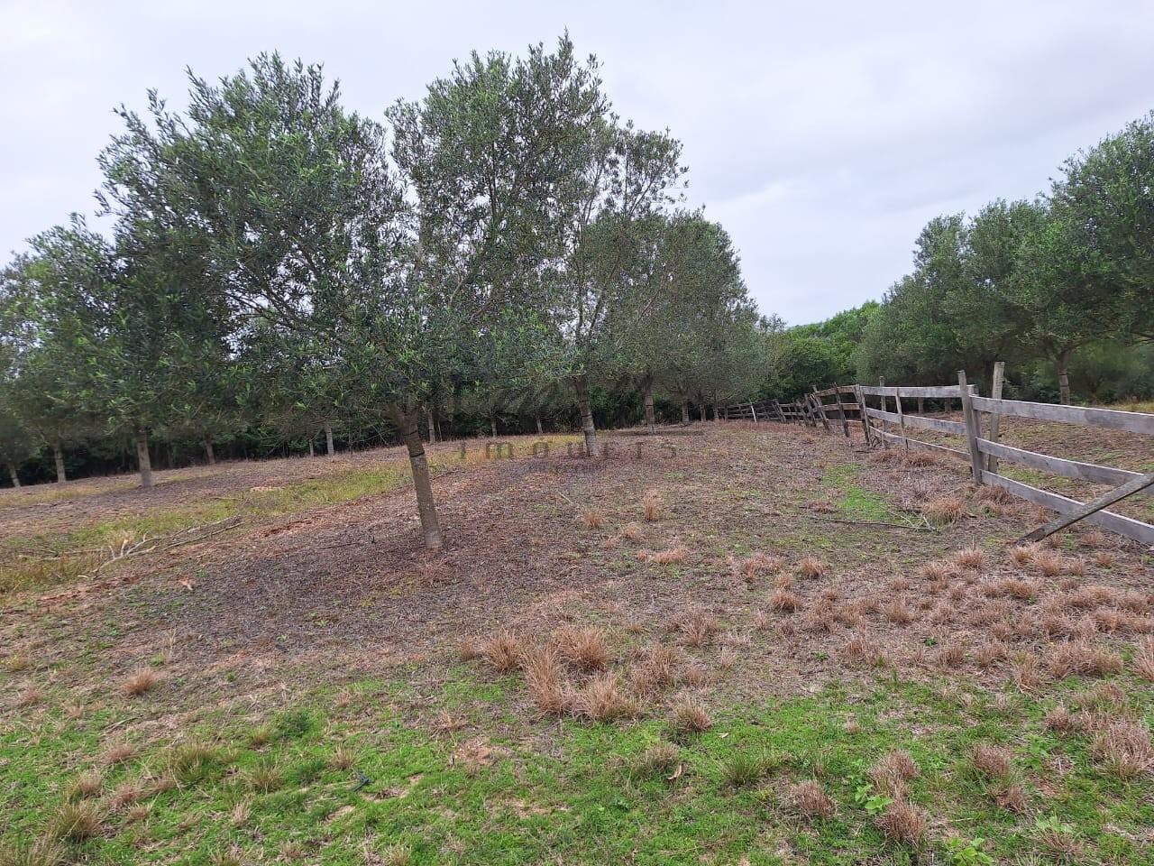 Fazenda à venda, 59m² - Foto 30