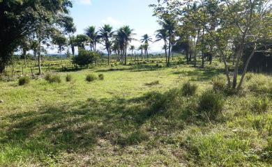 Fazenda à venda com 2 quartos, 96000m² - Foto 8