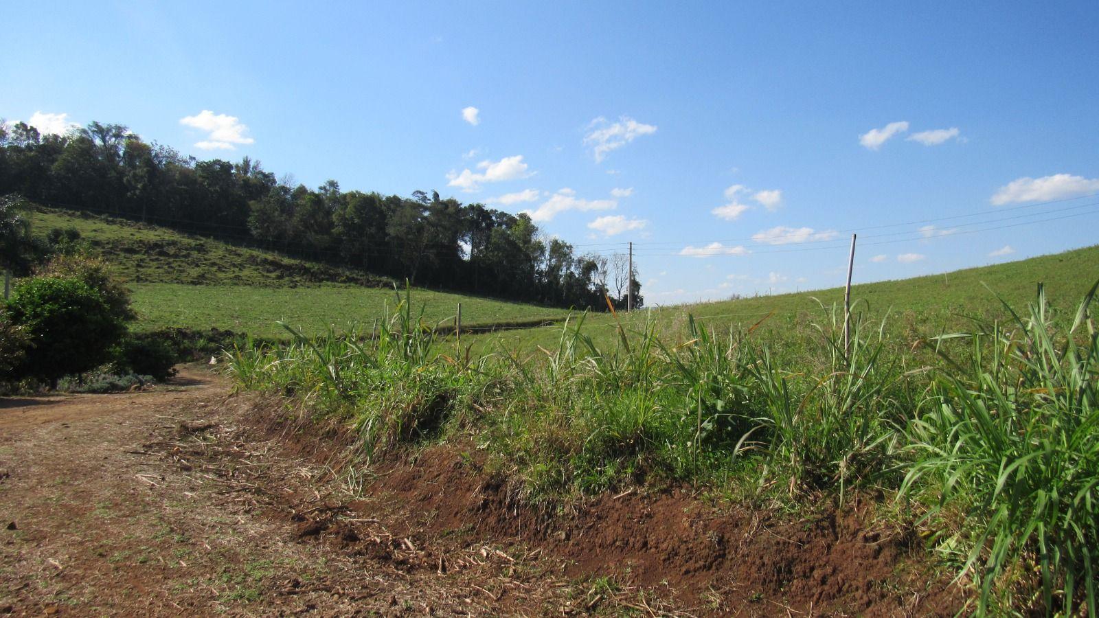 Loteamento e Condomínio à venda, 120000m² - Foto 30