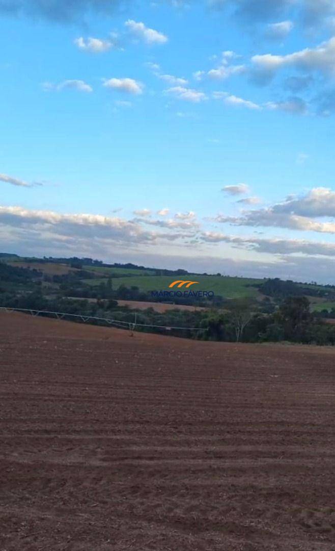 Sítio, 77 hectares - Foto 9