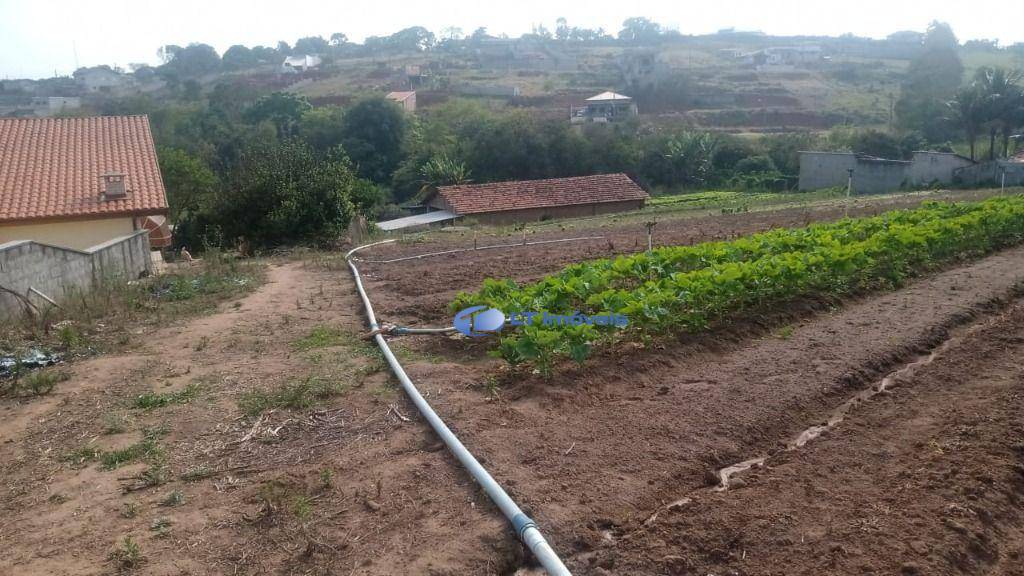 Chácara, 2 quartos, 2 hectares - Foto 2