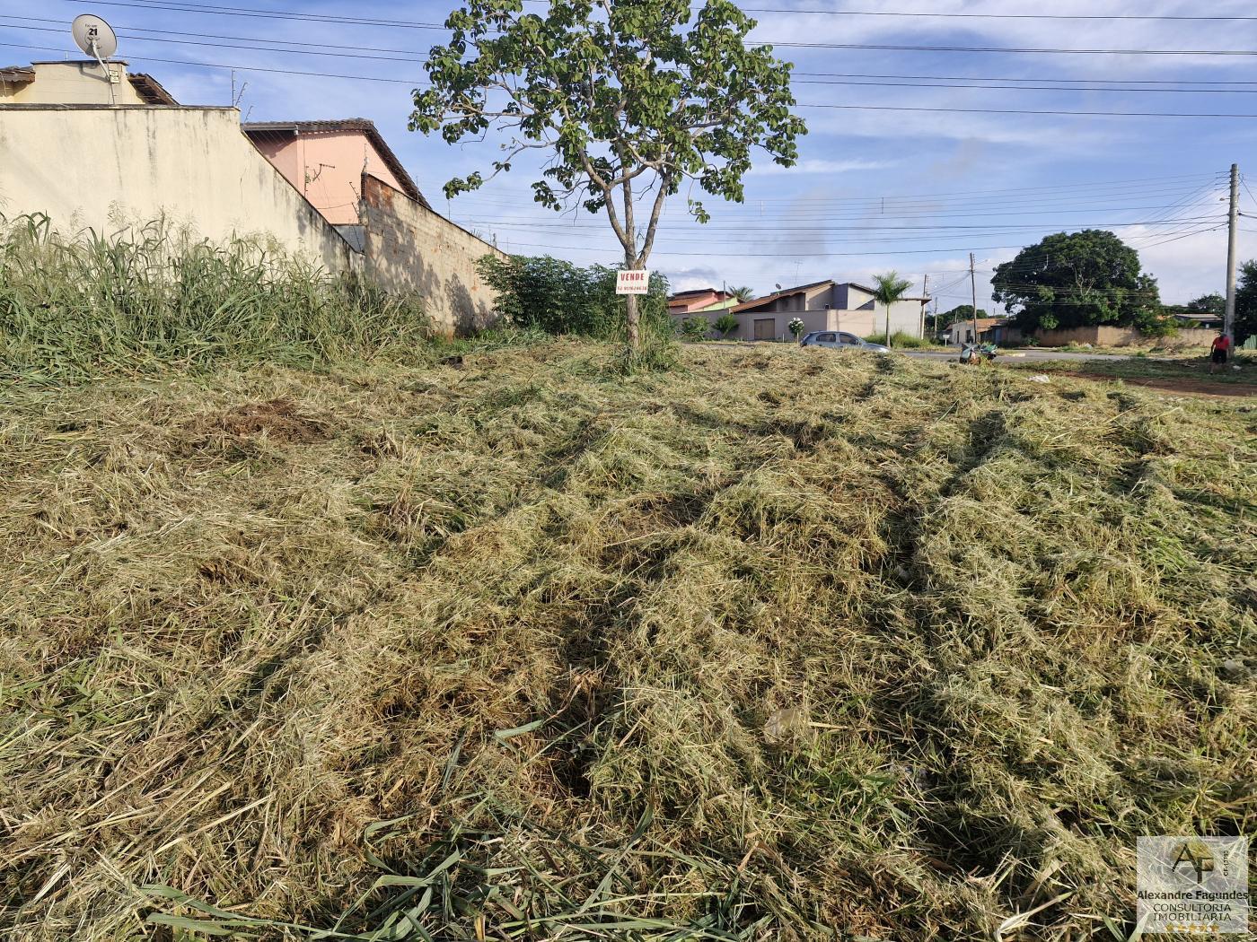 Terreno à venda, 416m² - Foto 7