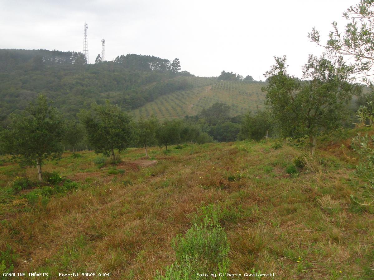 Fazenda à venda com 6 quartos, 493400m² - Foto 30