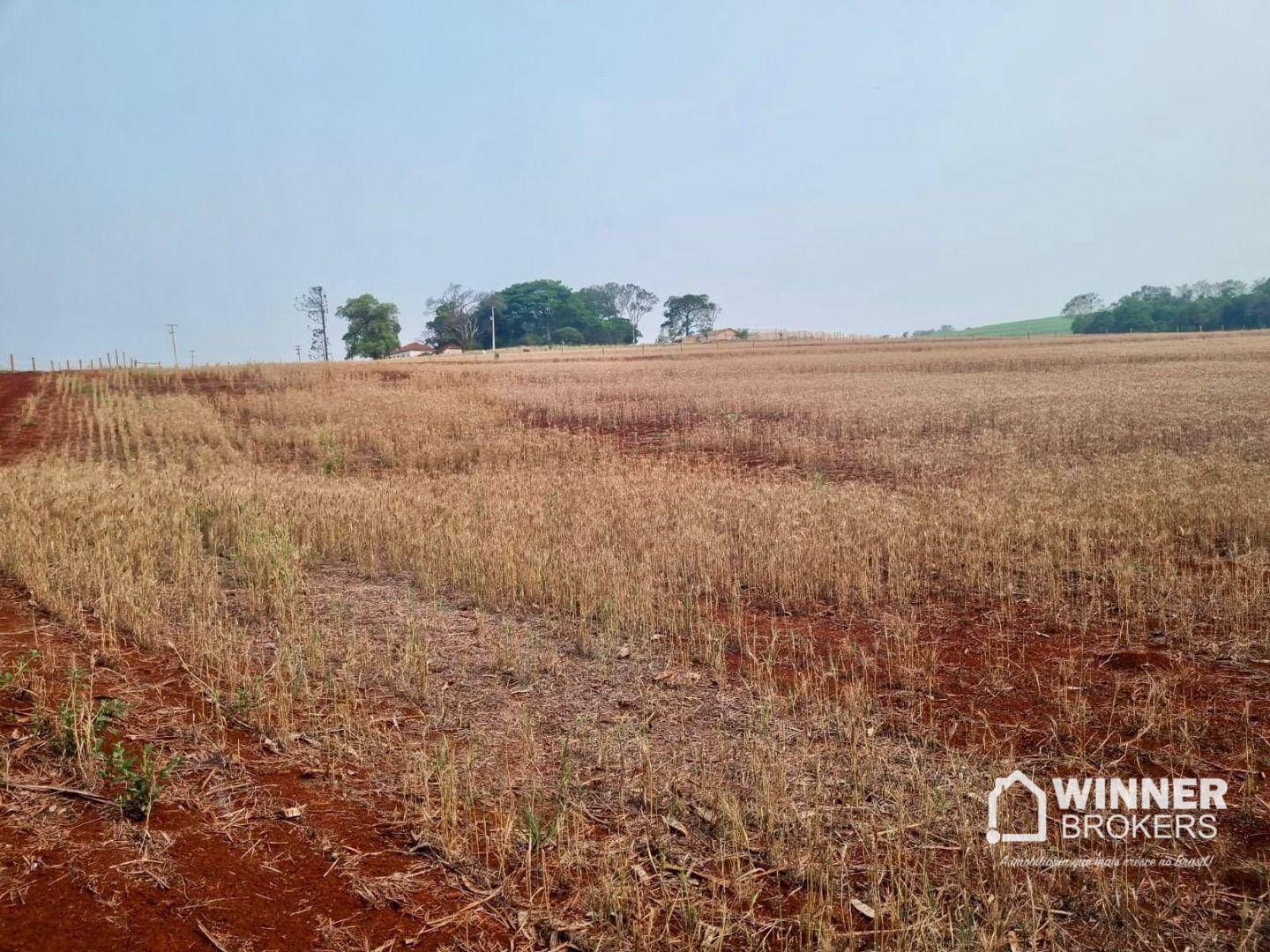 Terreno, 4500 m² - Foto 7