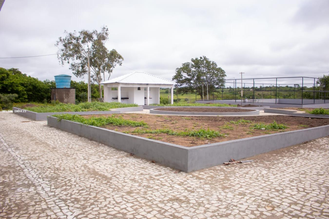 Fazenda à venda, 1000m² - Foto 4