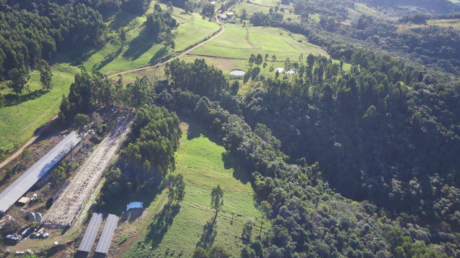 Fazenda à venda, 440000m² - Foto 6