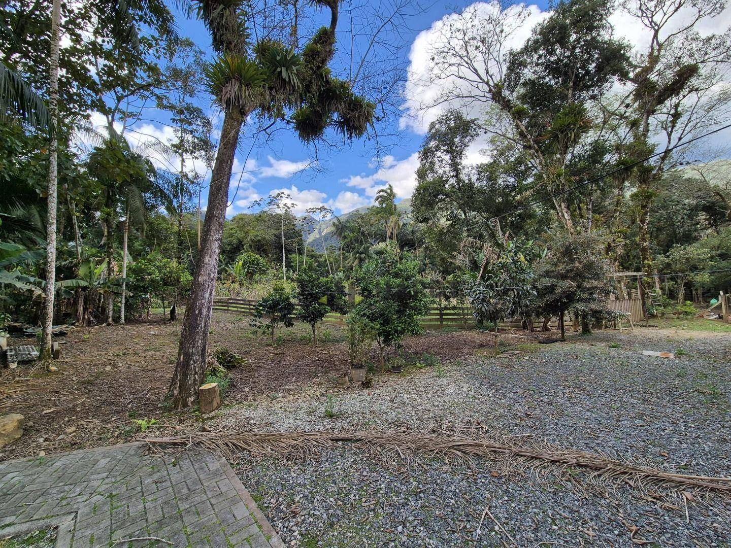 Chácara, 3 quartos, 2 hectares - Foto 2