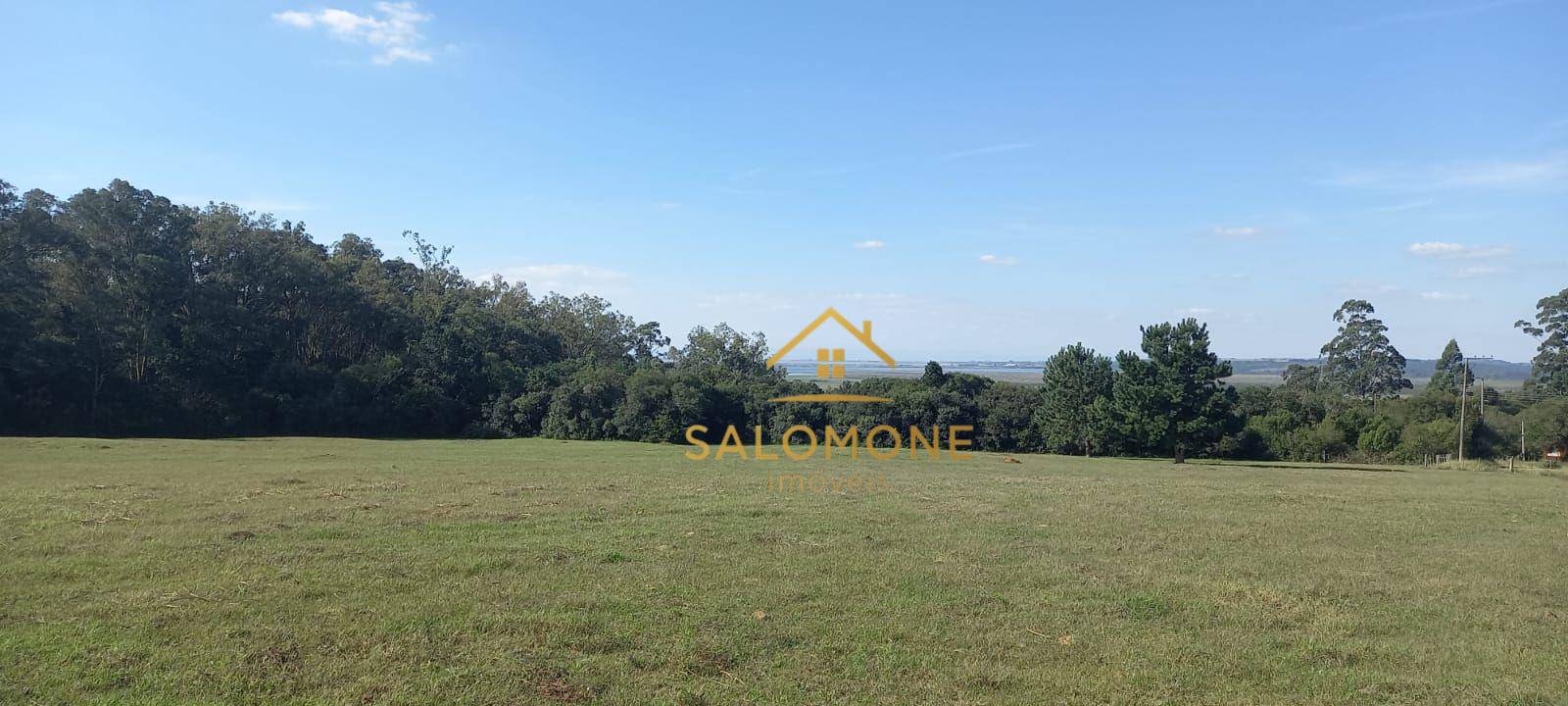 Sítio, 4 hectares - Foto 3