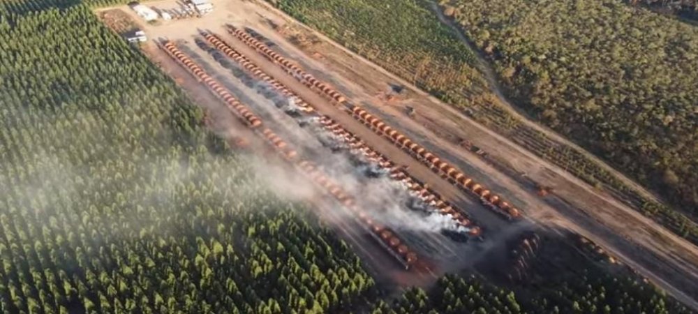 Fazenda-Sítio-Chácara, 1700 hectares - Foto 3