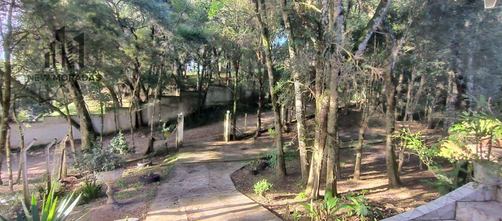 Casa à venda com 3 quartos, 300m² - Foto 19