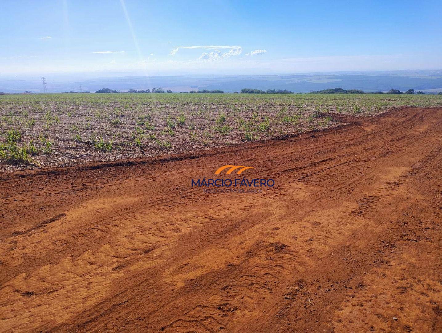 Fazenda-Sítio-Chácara, 298 hectares - Foto 12