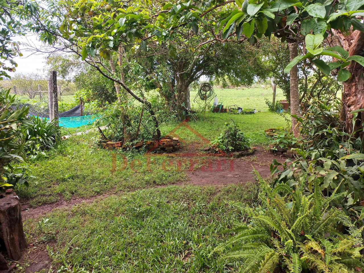 Fazenda-Sítio-Chácara, 5 quartos - Foto 32