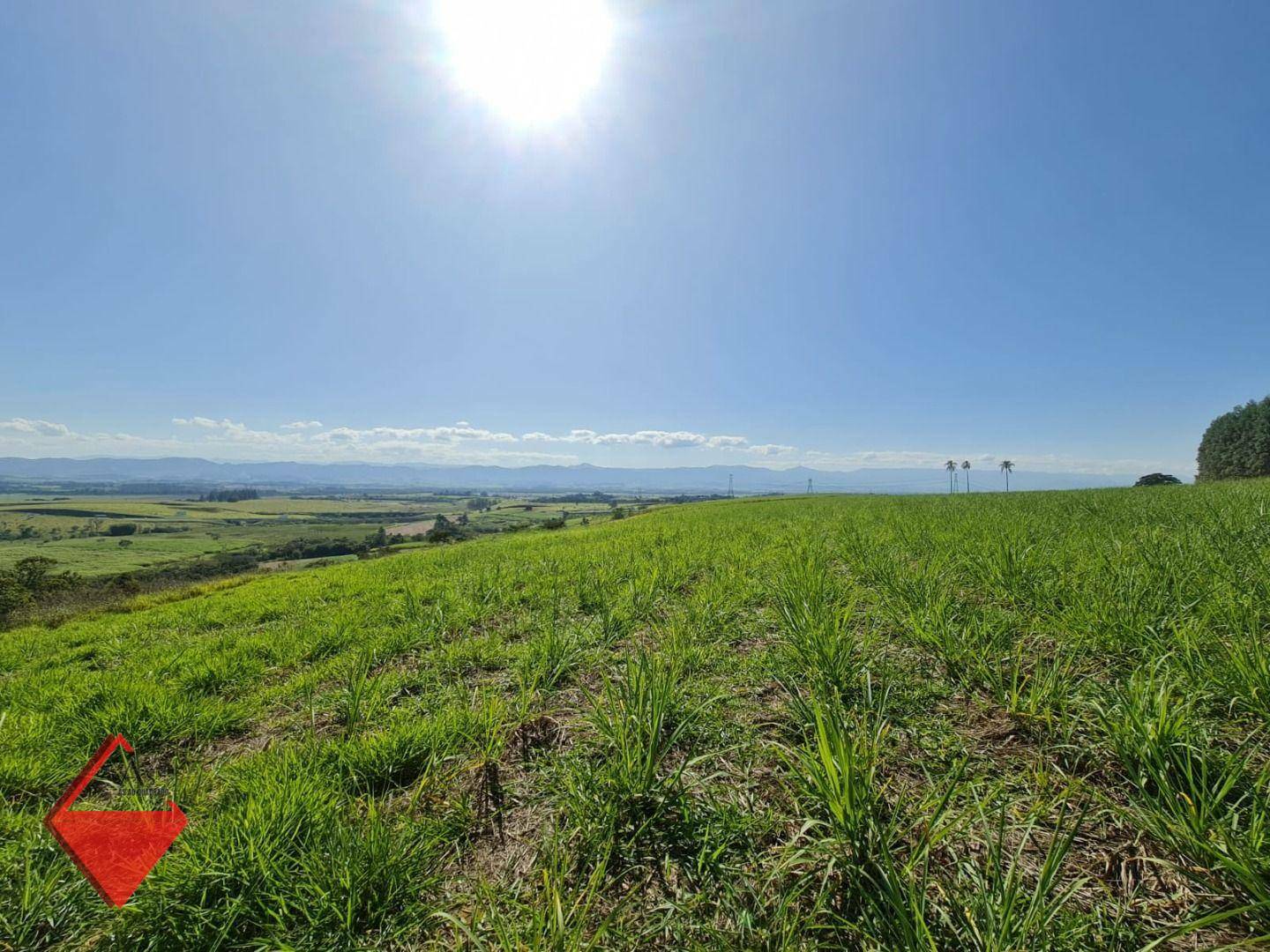 Fazenda à venda, 1040600M2 - Foto 13