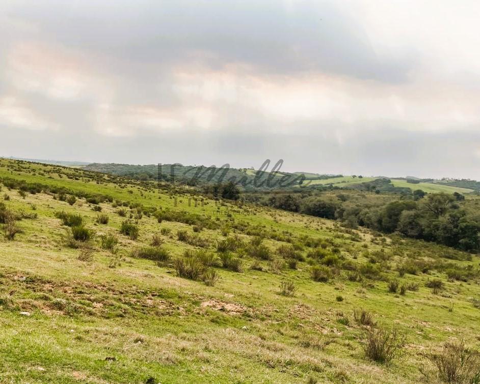 Fazenda à venda, 386m² - Foto 3