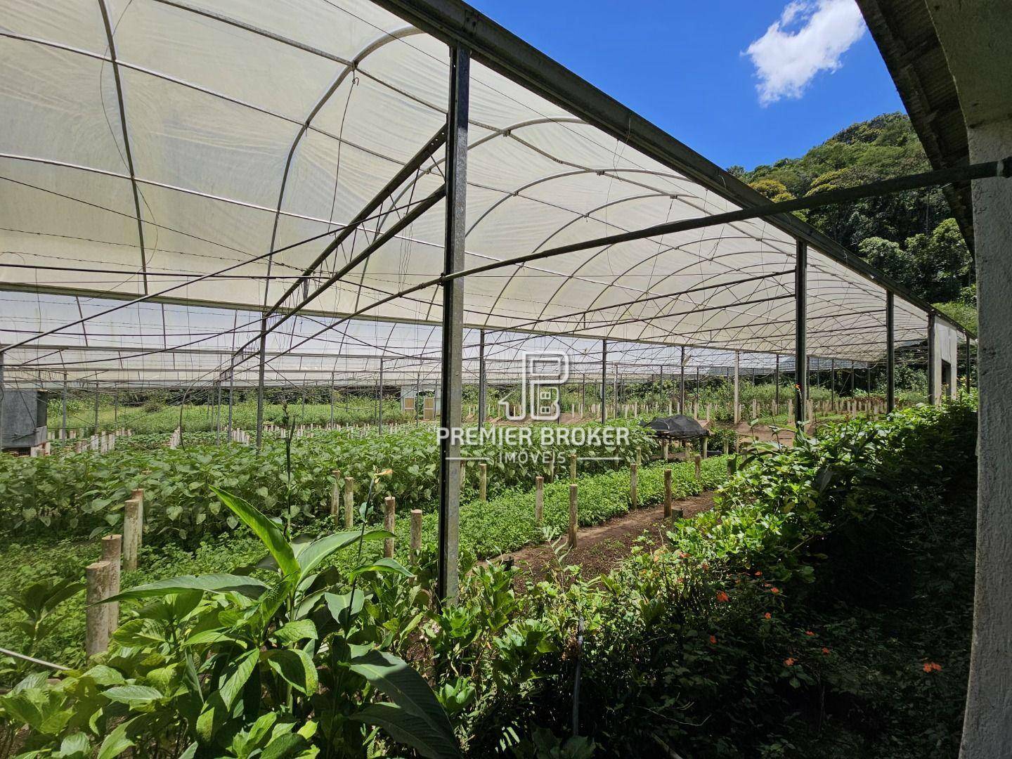 Sítio à venda com 5 quartos, 2500m² - Foto 10
