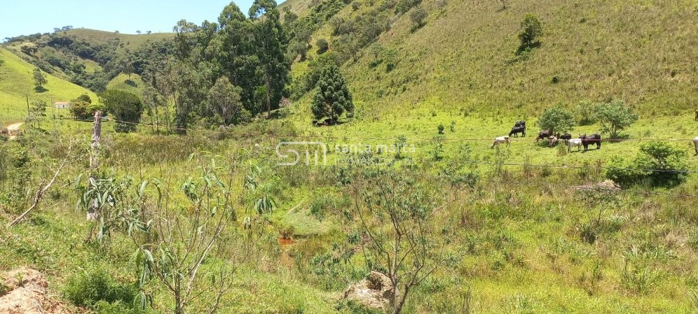 Fazenda à venda com 2 quartos, 150m² - Foto 20