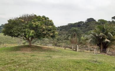 Sítio à venda com 3 quartos, 87000m² - Foto 25