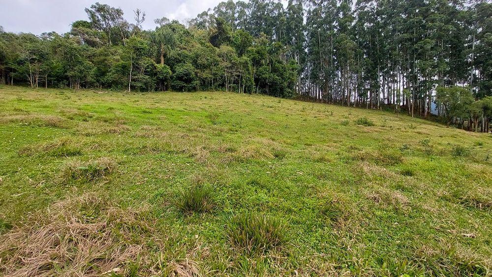 Fazenda à venda, 23900m² - Foto 15