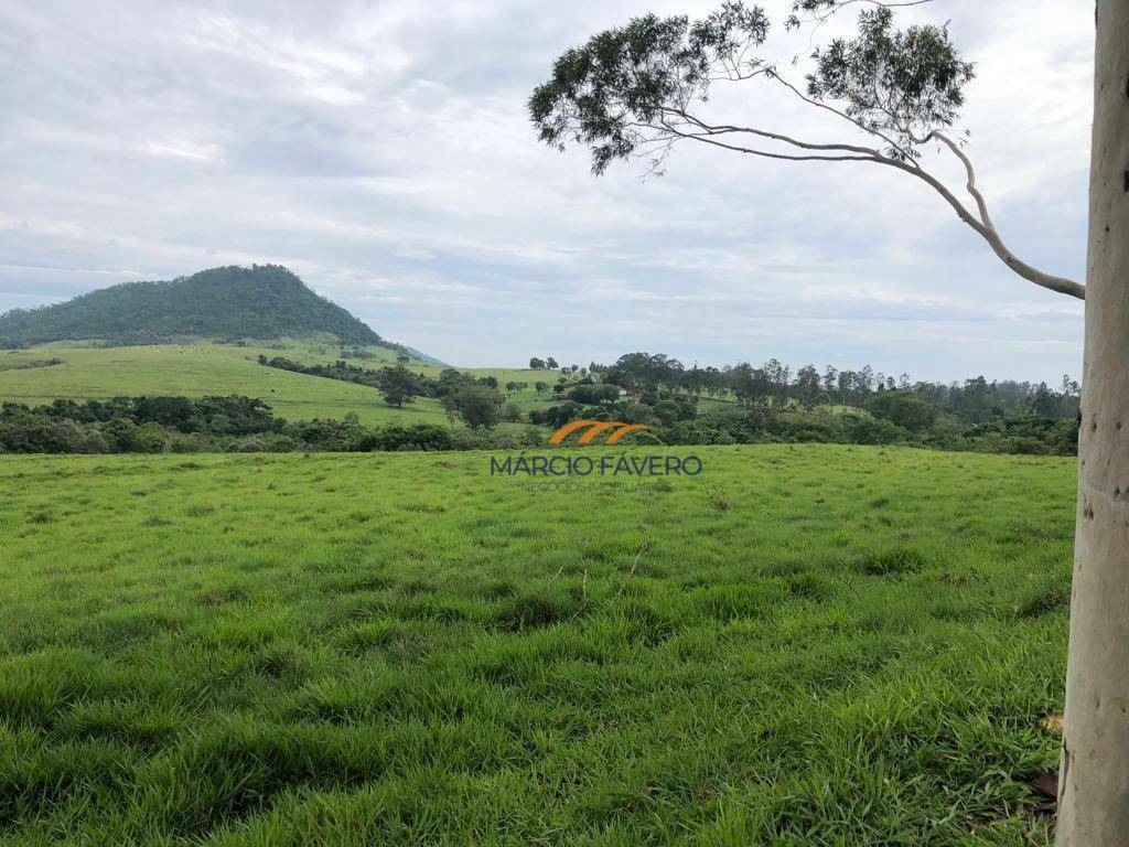 Fazenda à venda, 5808000M2 - Foto 8