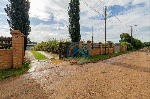 Chácara, 3 quartos, 9000 m² - Foto 4