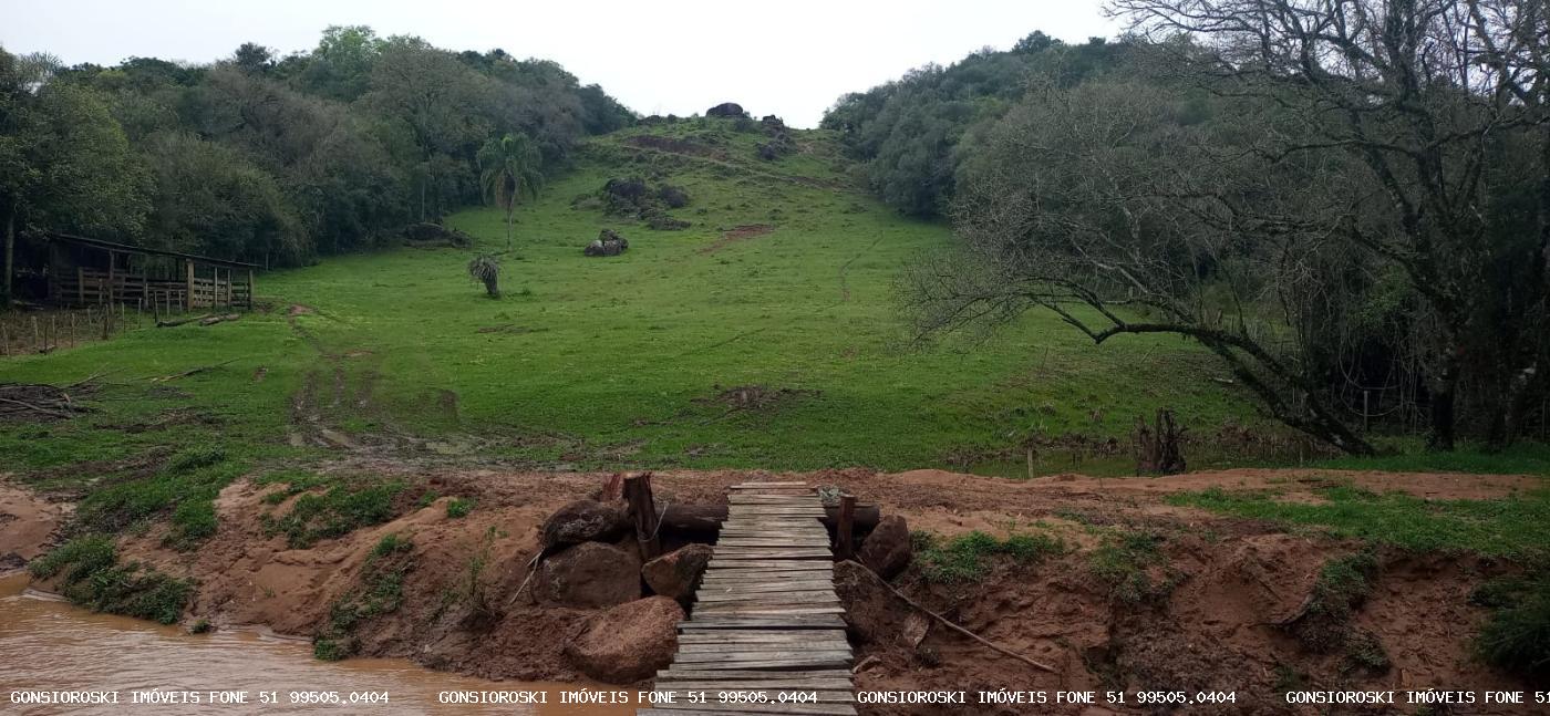 Fazenda à venda com 1 quarto, 18000m² - Foto 8