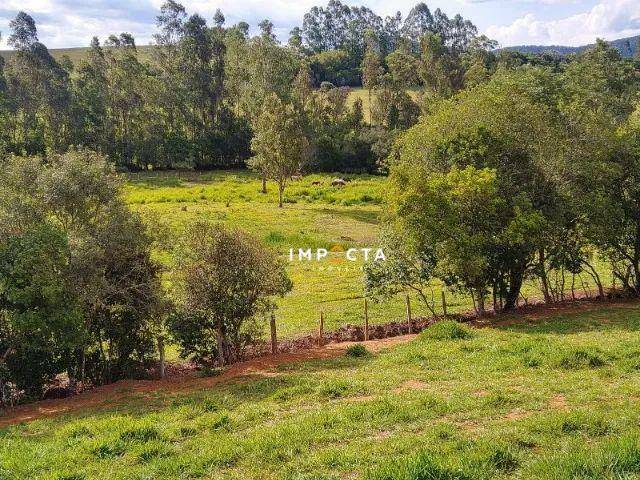 Sítio à venda com 2 quartos, 60500M2 - Foto 13