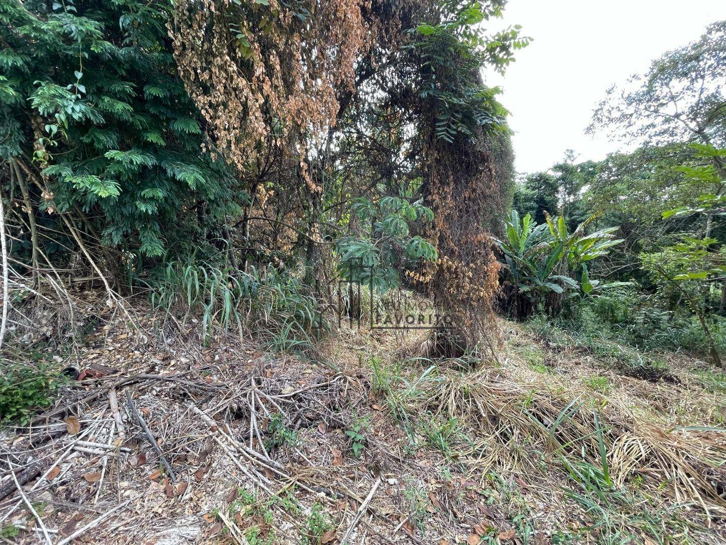 Loteamento e Condomínio à venda, 3070M2 - Foto 5