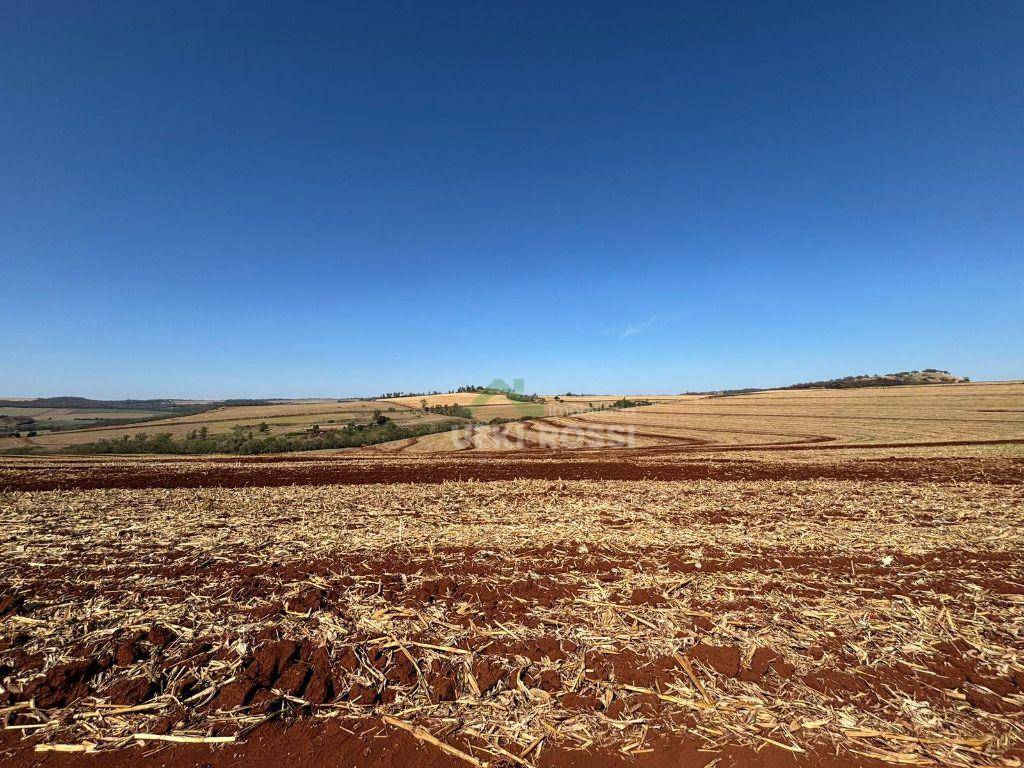 Fazenda, 232 hectares - Foto 11