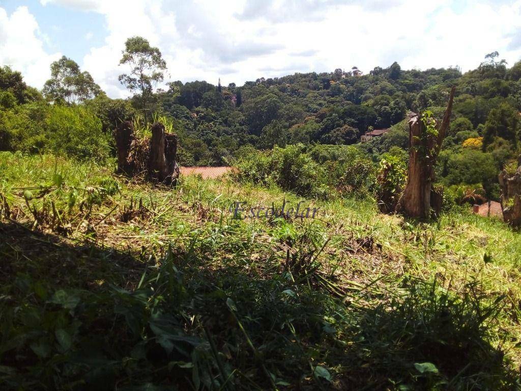 Terreno à venda, 536M2 - Foto 2