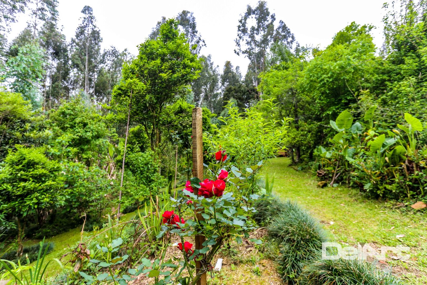 Chácara à venda com 7 quartos, 36600M2 - Foto 68