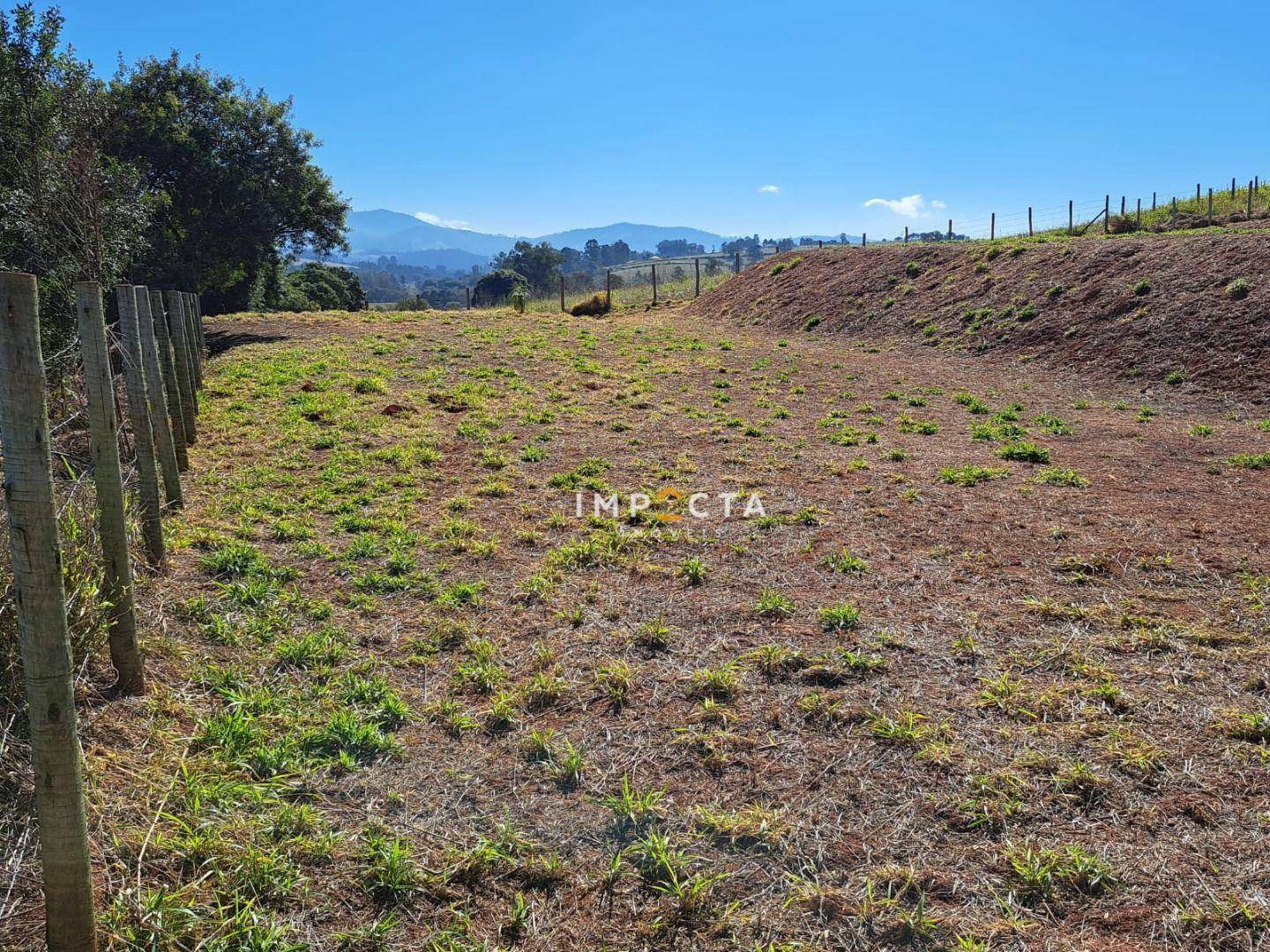 Terreno à venda, 2000M2 - Foto 3