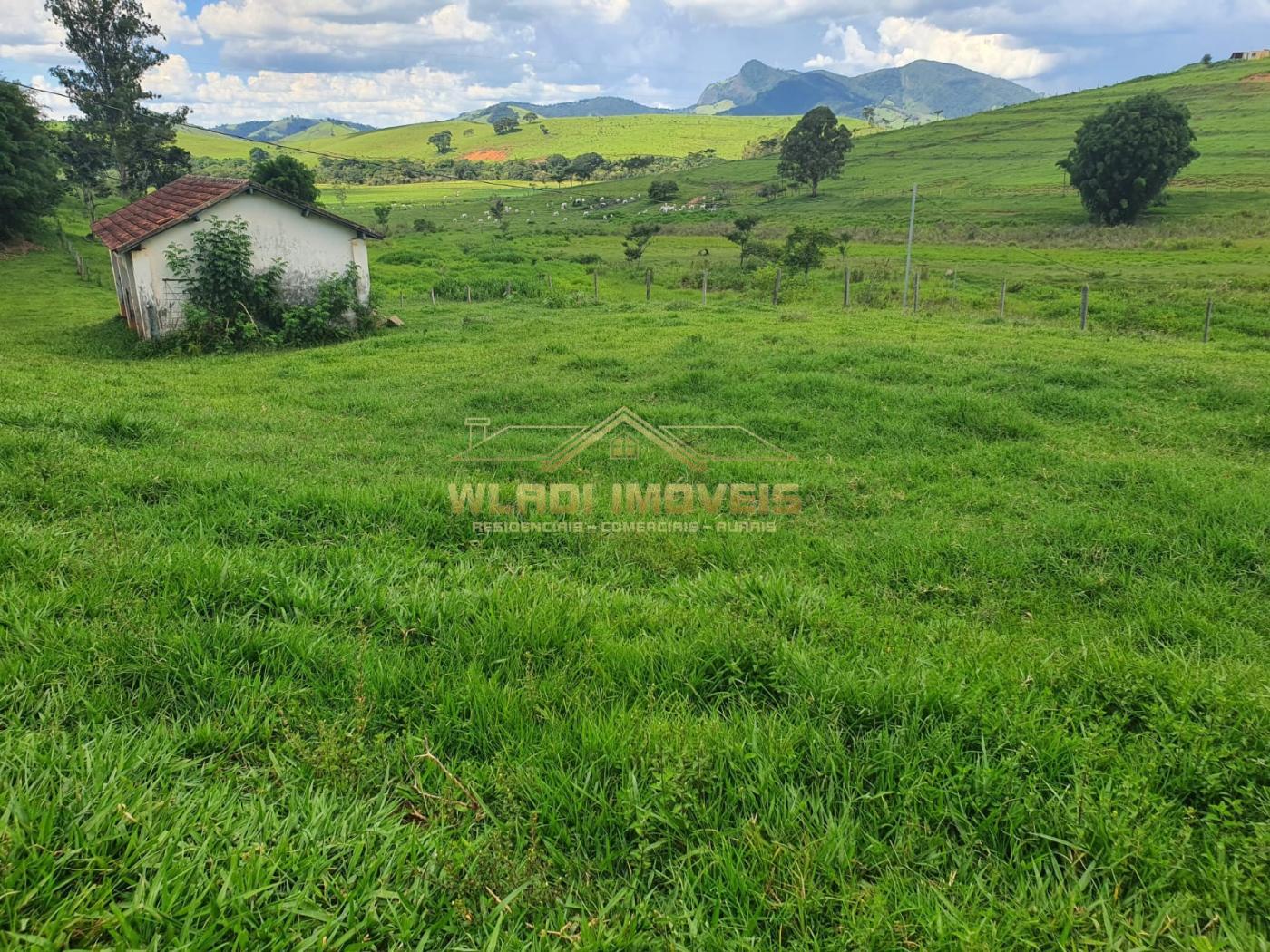 Fazenda à venda, 224m² - Foto 8