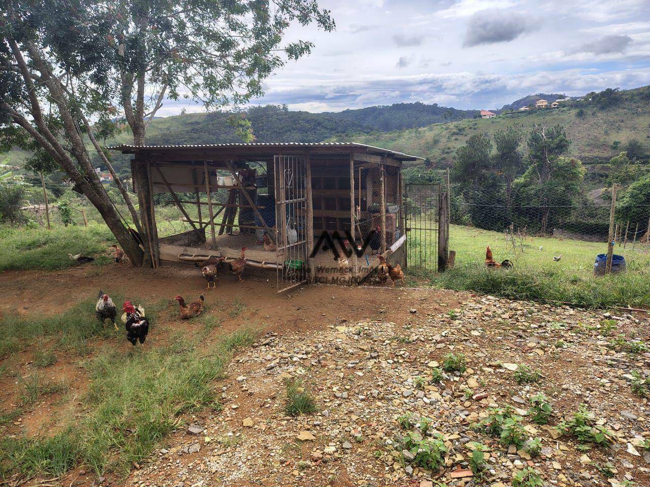 Terreno à venda, 3500M2 - Foto 3