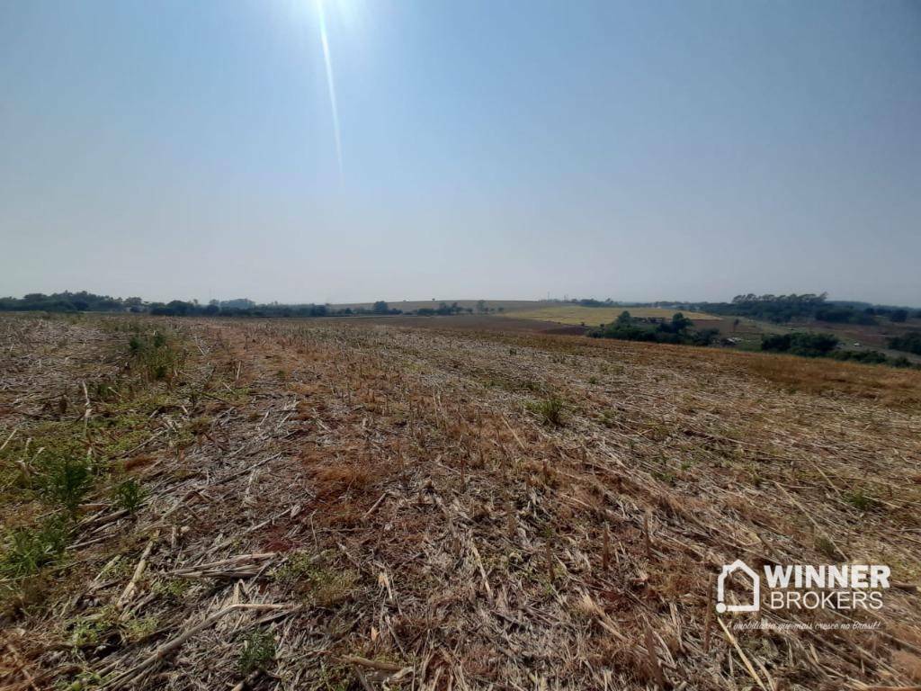 Terreno à venda, 217800M2 - Foto 4