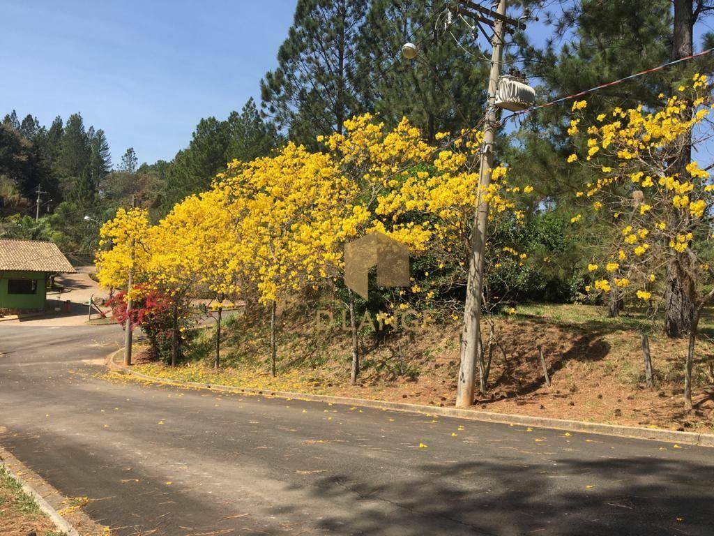 Loteamento e Condomínio à venda, 2952M2 - Foto 12