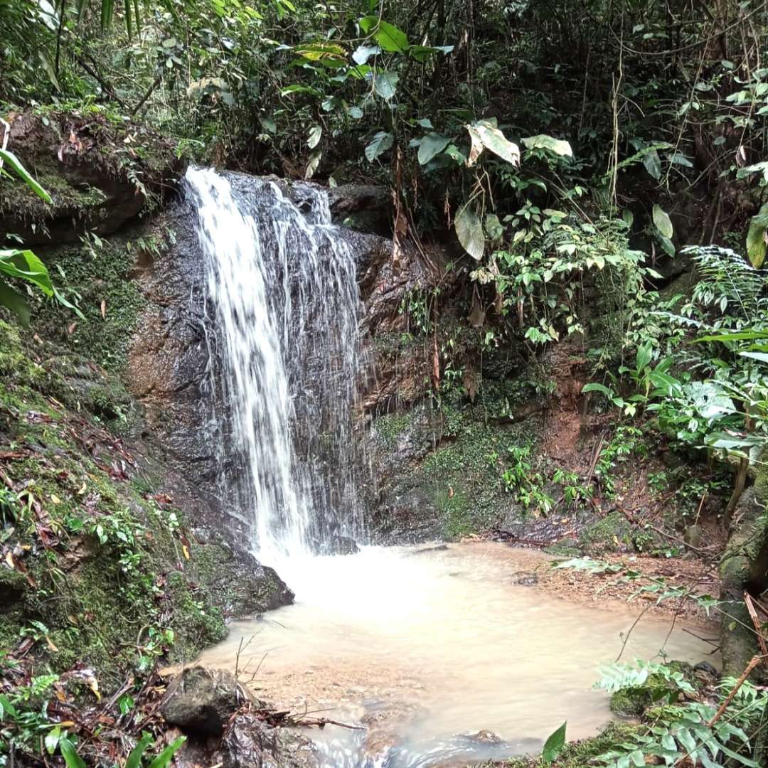 Chácara, 2 quartos, 7500 m² - Foto 15