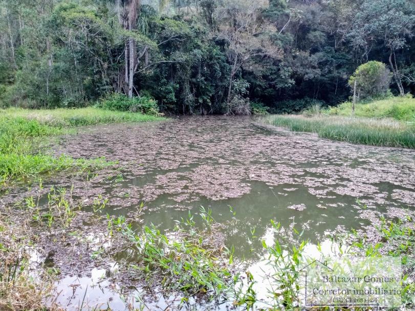 Fazenda à venda com 3 quartos, 20000m² - Foto 4