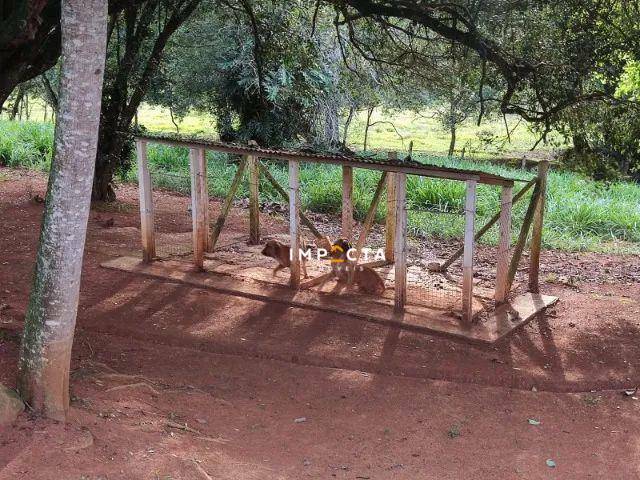 Sítio à venda com 2 quartos, 60500M2 - Foto 6