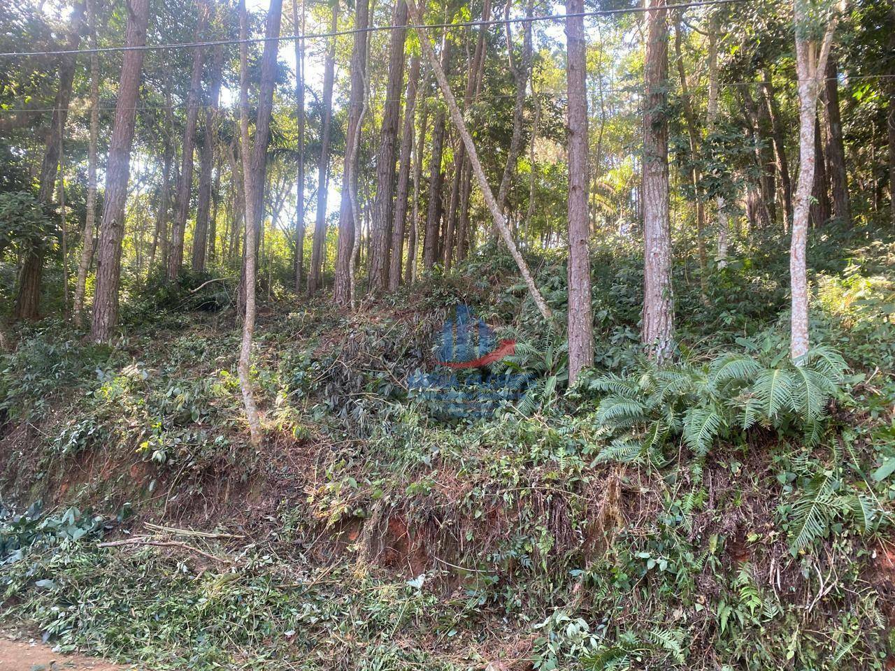 Loteamento e Condomínio à venda, 1500M2 - Foto 3
