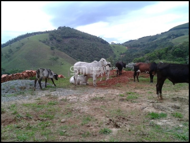 Fazenda à venda com 2 quartos, 24m² - Foto 10