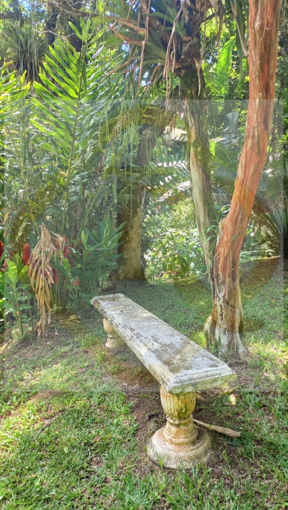 Chácara para alugar com 3 quartos, 5000m² - Foto 32