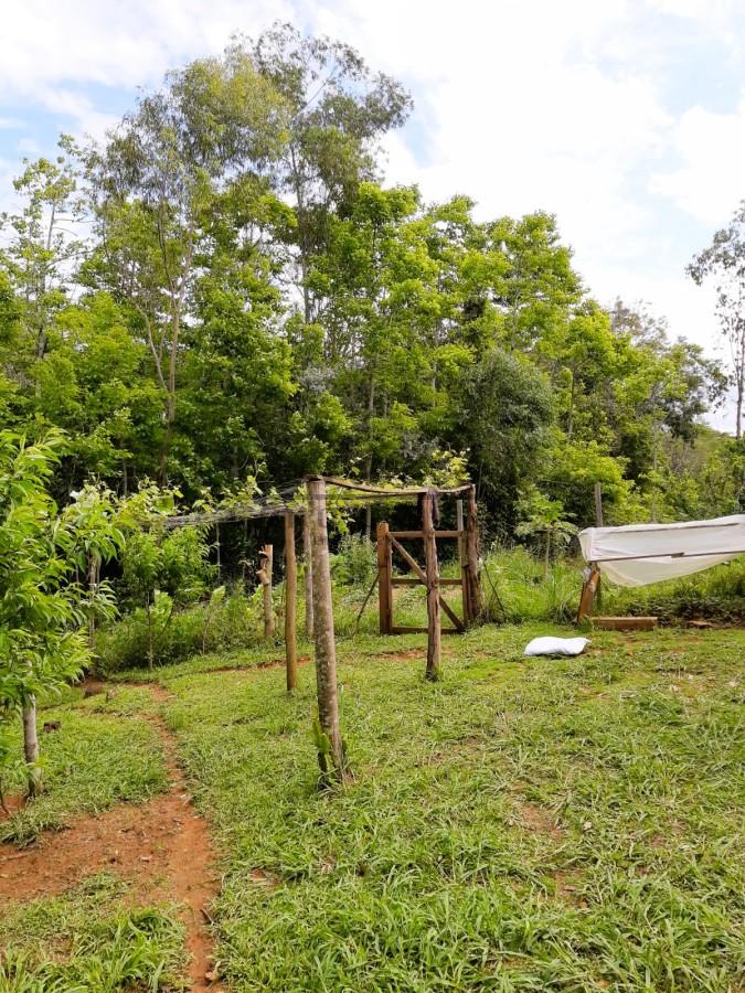 Chácara à venda, 3000m² - Foto 2