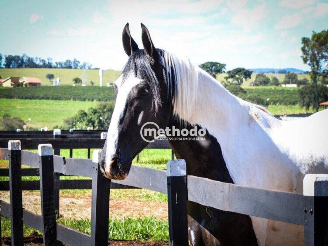 Loteamento e Condomínio à venda, 840M2 - Foto 3